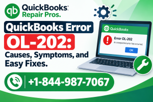 QuickBooks Error OL-202
