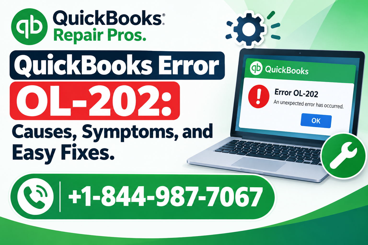 QuickBooks Error OL-202