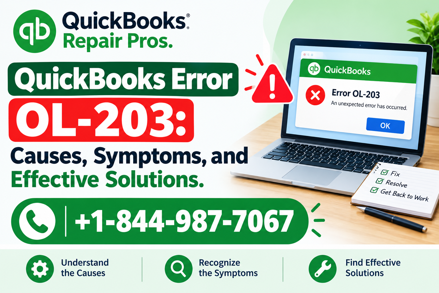 QuickBooks Error OL-203