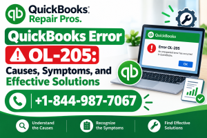 QuickBooks Error OL-205