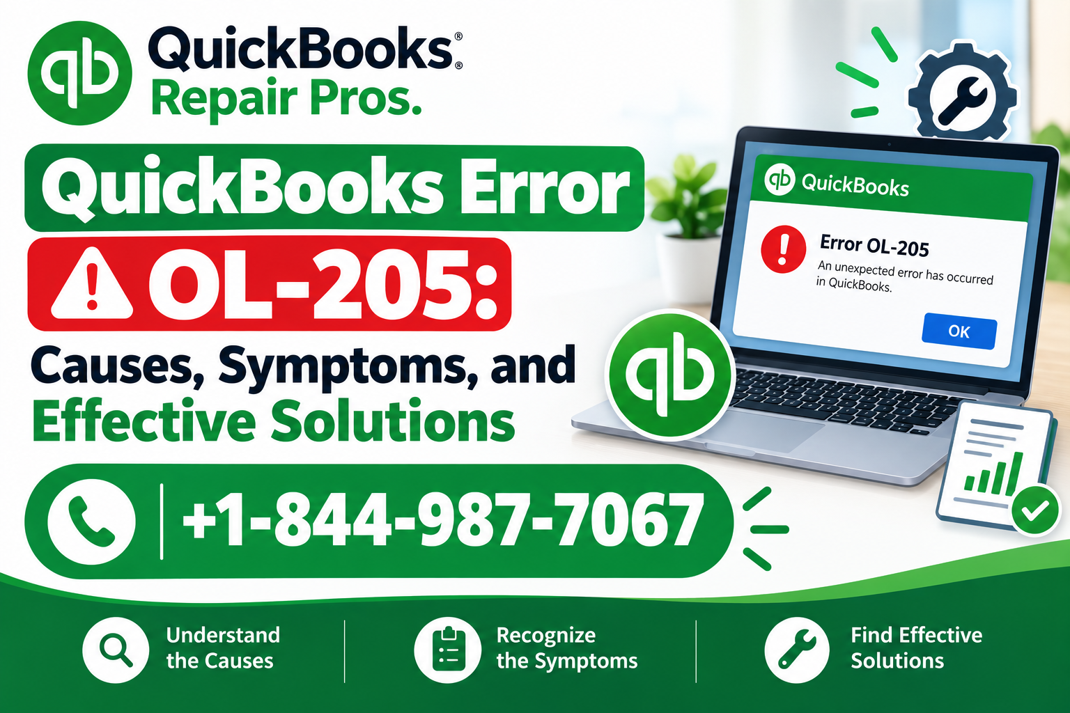 QuickBooks Error OL-205