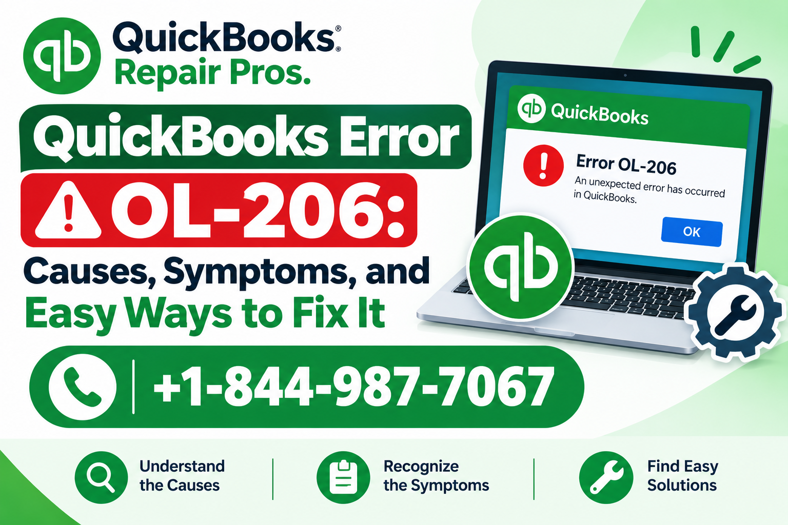 QuickBooks Error OL-206