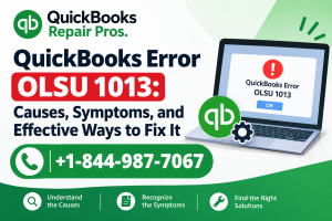 QuickBooks Error OLSU 1013