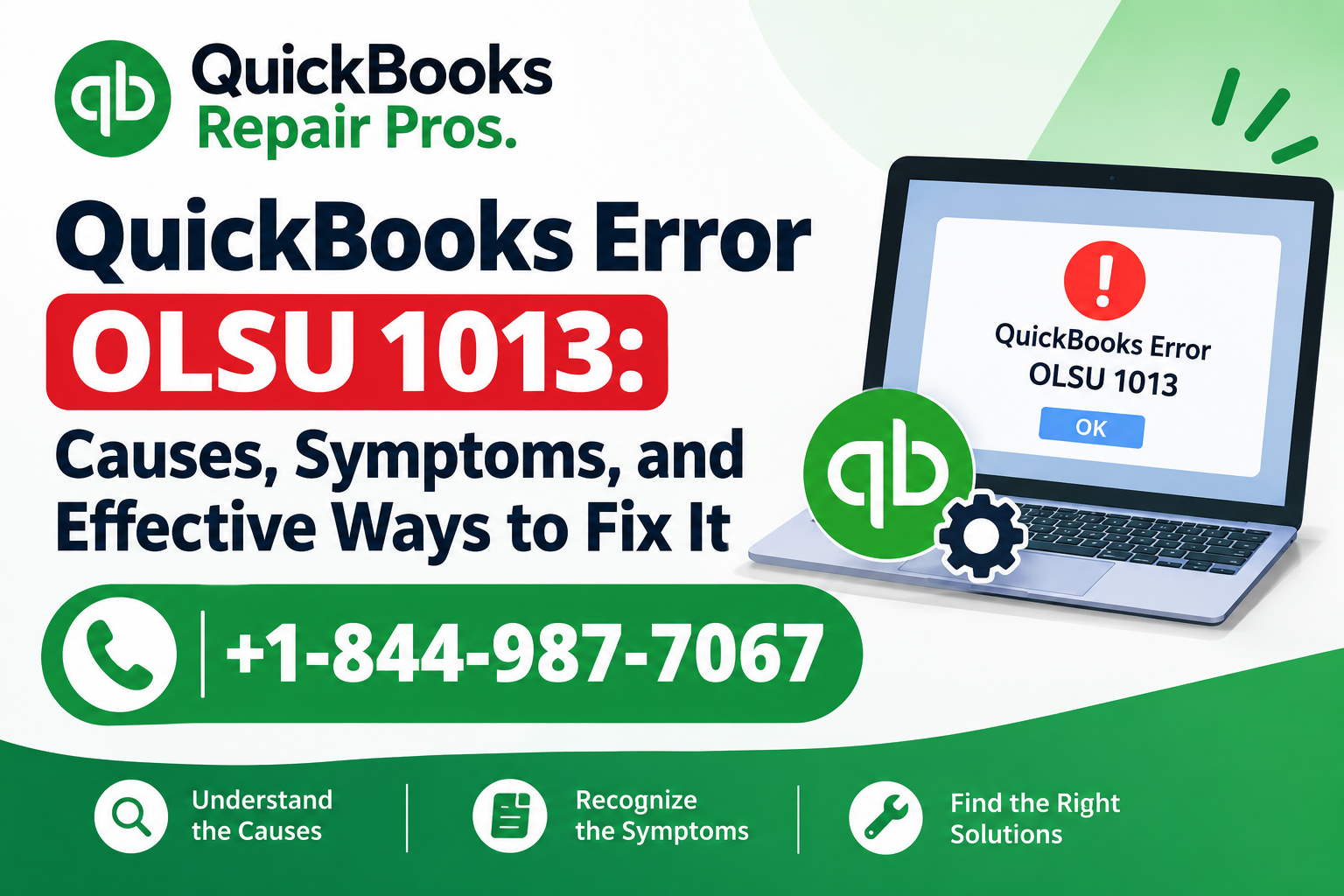 QuickBooks Error OLSU 1013