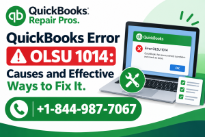QuickBooks Error OLSU 1014